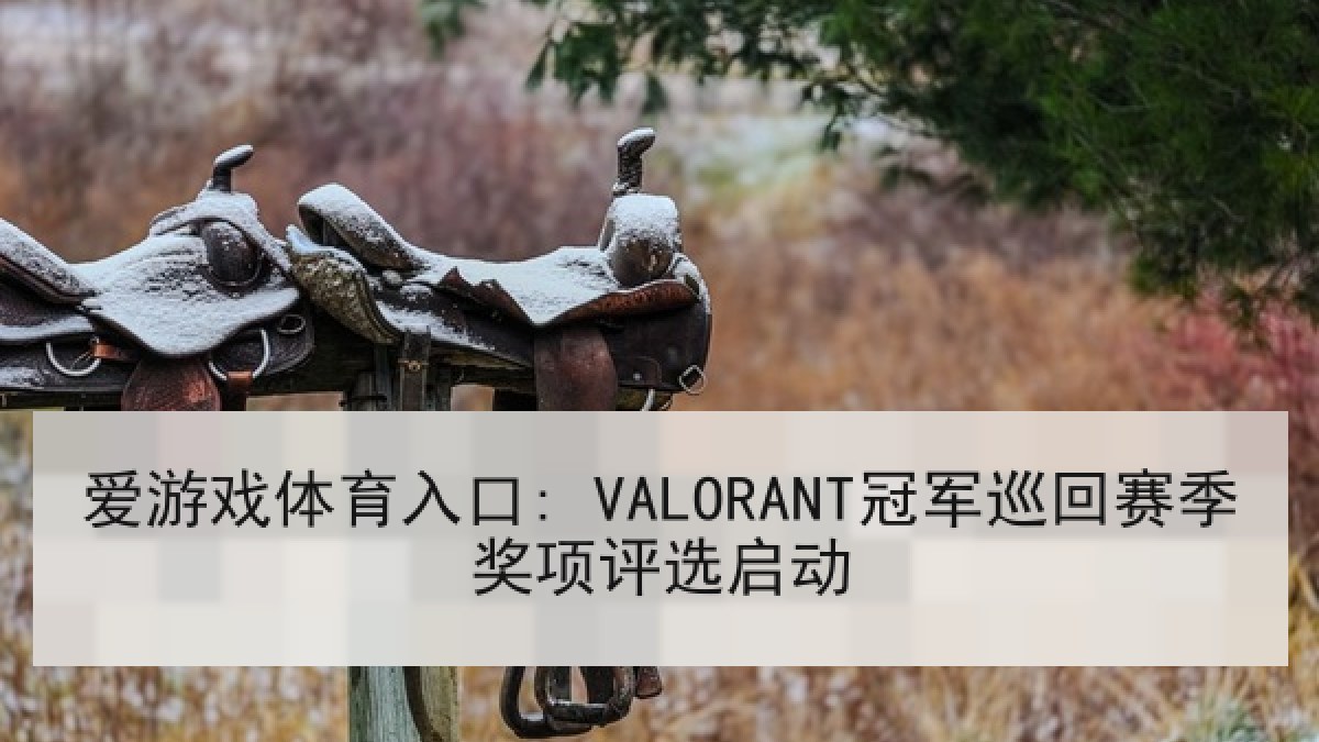 爱游戏体育入口: VALORANT冠军巡回赛季奖项评选启动